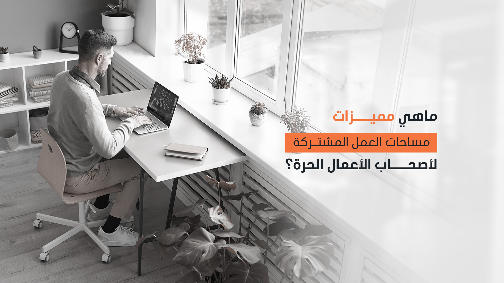 ماهي مميزات مساحات العمل المشتركة لأصحاب الأعمال الحرة؟